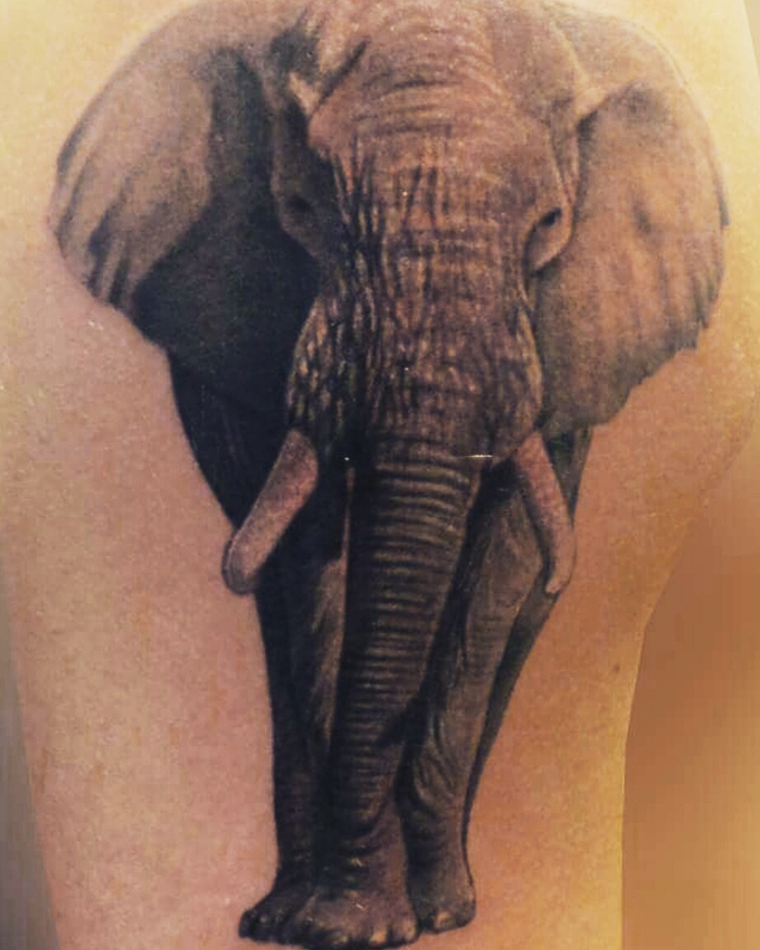 tattoo studio tenerife canary canarie spain spagna elephant front