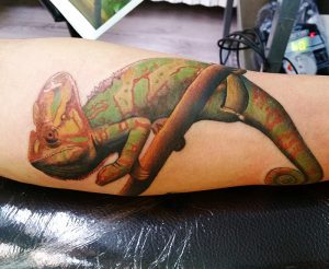 tattoo studio tenerife canary canarie spain spagna chameleon