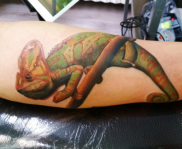 tattoo studio tenerife canary canarie spain spagna chameleon